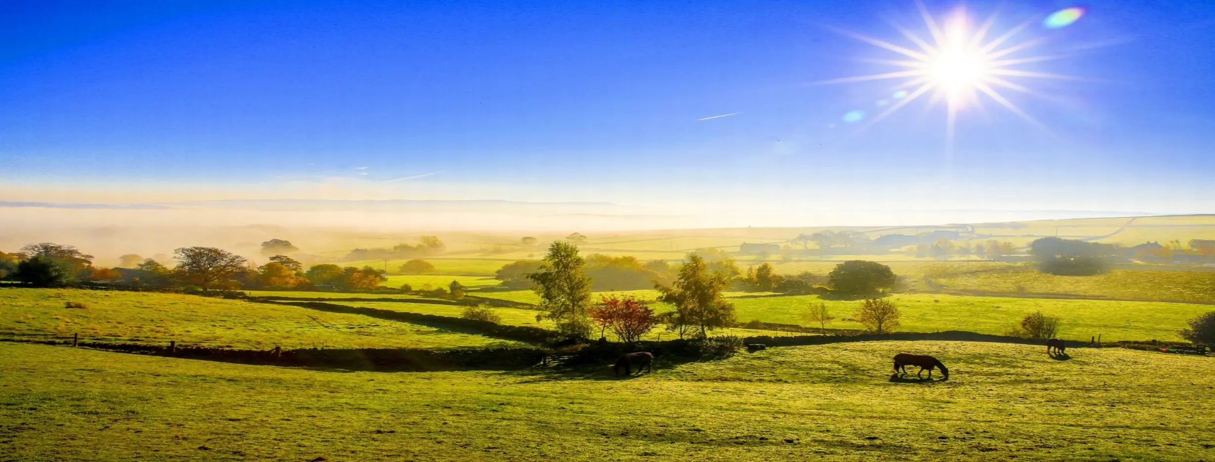 Image for Excellent Climate